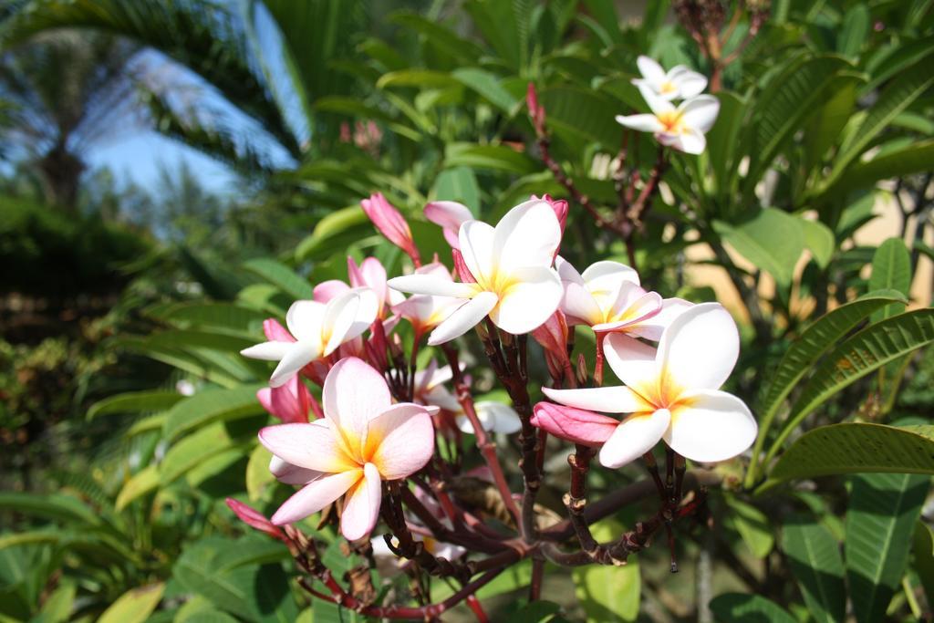 Ao Thai Resort Szathingphra Kültér fotó
